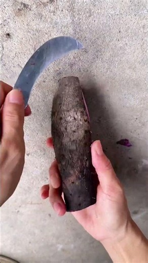 🍠🔪 Tuber Peeling and Trimming Workflow