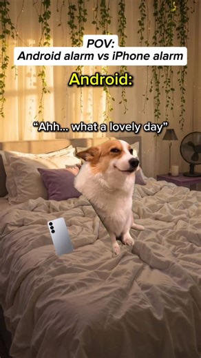 Catology on Instagram: "Android alarm vs iPhone alarm #relatable #cat #catmemes #android #iphone"