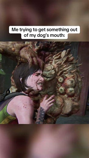 When Your Dog Has Something In Their Mouth 😭 | The Last of Us
