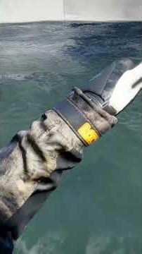 How to Catch Store Henrik (Legendary Burbot) | Call of the Wild: The Angler