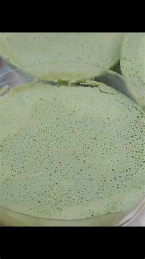 Homemade Moringa Soap: Step-by-Step Guide