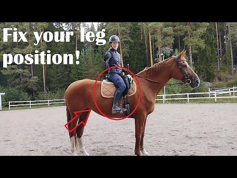 Correct leg position for horse riding / dressage (dressage seat)