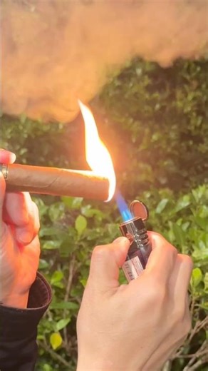 La Palina Double Digit - ASMR Cigar Cut & Light