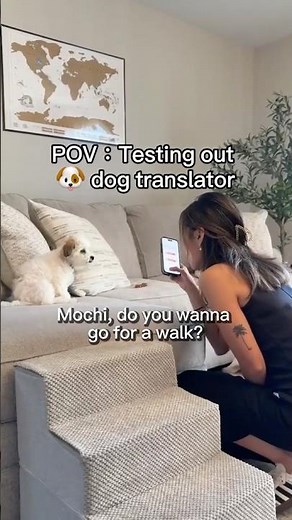 Dog & Cat Translator: Communicate With Your Dog or Cat Just By Your iPhone #cat #dog #pet #translate
