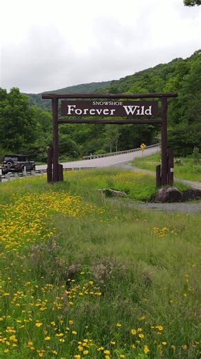 13 shares | More drops, berms, and permagrins. Snowshoe’s ode to gravity is open for lift-serviced, white-knuckled, downhill business.trail network. | Snowshoe Mountain | Facebook