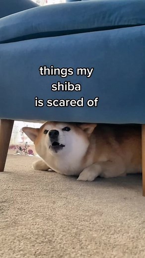 Eevee Bork & Ember McCoy on TikTok