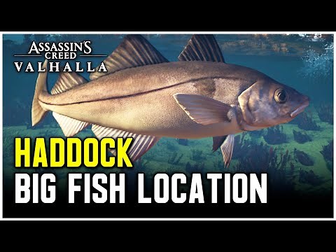 Assassin's Creed Valhalla - Big Haddock Location