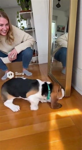 Spark Plug vs Spark Plug!