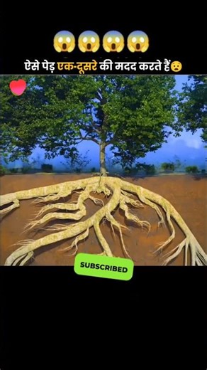 How tree’s roots works? #facts #amazingfacts #shortvideo #shorts