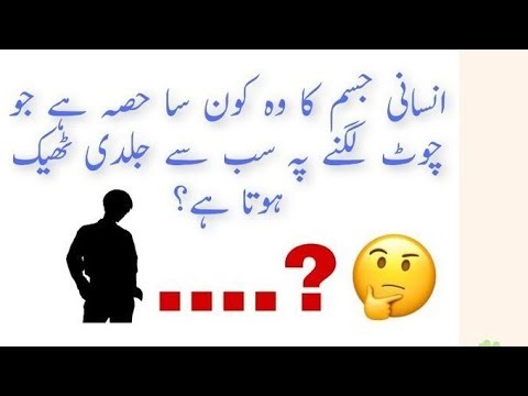 rahi study is live #gk #gs #ias #ips #upsc #shyari #puzzle #math #game