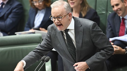 Albanese resorts to 'straw man argument' during fuel crisis debate