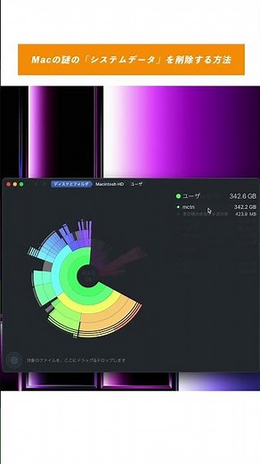 Macのストレージを100GB以上減らす事も！「システムデータ」を簡単に削除する方法 / DaisyDisk