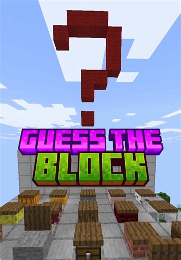 Minecraft Guess the Block Challenge