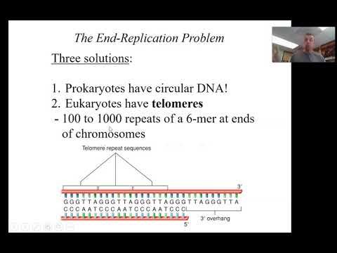 Bio2010 End replication problem