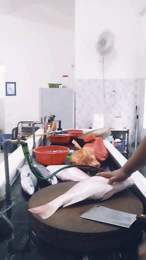 Fish Processing Techniques in a Clean Workshop