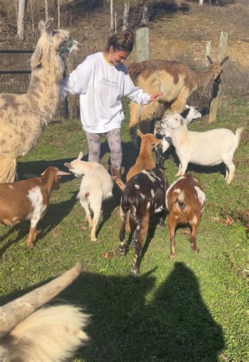 Do you want this to be you?! ✨✨ Highland cows. Donkeys. Horses. Goats. Bunnies. Pigs and more!!🐷🐰🐴🪿🫏 Slow mornings, fluffy friends, and farm magic 🤍 Diamond Hobby Farm 🐮 Tours available EVERY day 🚜 👇 COMMENT: Which animal are you most excited to see!? 🐮 🫏 🐴 🐐 🐰 #farm #farmtour #kentucky #farmanimals #hobbyfarm