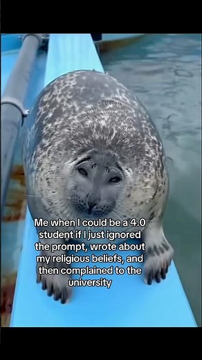 I LOVE THE COLLEGE SYSTEM #college