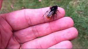 41 reactions | A rare find at our Highgate Common Nature Reserve by...