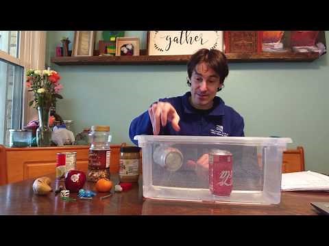 Density & Floating: Why Some Objects Float While Others Sink