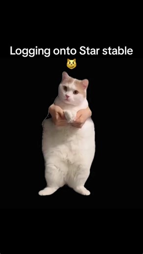 PART TWO? Let me know scenarios you want 🤭🫶 I LOVE BINGING THESE CAT MEMES #sso #jorvik #starfam #starstable #starstableonline #starstablehorse #ssohorse #ssohroses #starstablehorses #starstableclub #ssoclub #ssoclubs #ssoclubedit #ssoclubgoals #starstableclub #ssodressage #ssodressageclub #starstableclubedit #starstabledressageclubs #ssodressageteam #ssoclubedits