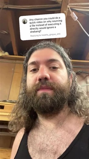 Understanding Bash Scripts: Shebang Necessity Explained