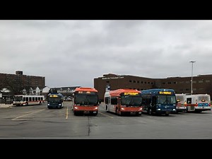 MiWay buses at the Meadowvale Town Centre