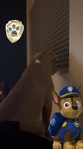 Glump the couch Hippo (@glumpthecouchhippo)’s videos with PAW Patrol Opening Theme - PAW Patrol