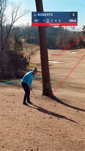 United States Golf Association on Instagram: "If you’re behind a tree and blast one OB, are you required to drop in the exact same spot? 🤔"