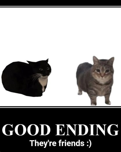 Maxwell The Cat X Oiia Cat Moment #meme #maxwellcat #oiiaoiiacat