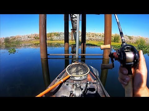 Fall Bass Fishing on the California Delta