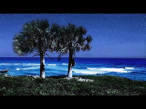 Sleeping By The Palm Trees With Soothing Ocean Sounds, Deep Sleep Video From Orchid Bay Beach