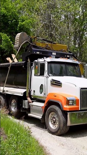 Shed Demolition & Tree Removal Job