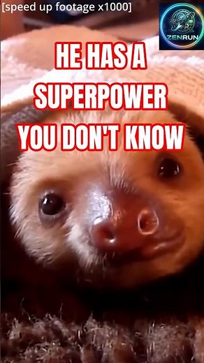 The laziest animal on Earth has a superpower nobody knows about.