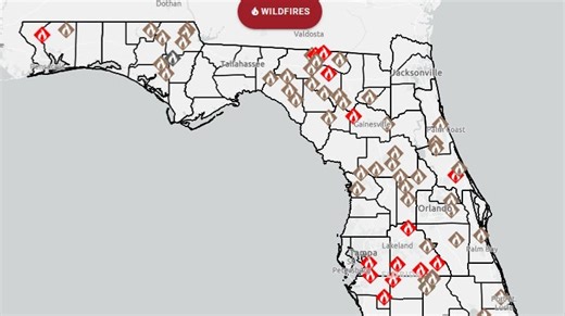 Wildfires are burning across Florida. Map shows locations. See closest fire risk where you are