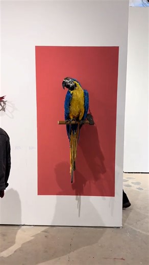 16M views · 260K reactions | Its all about perspective 列 | LADbible | Facebook