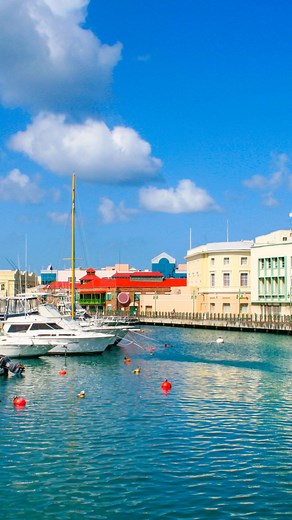 11 reactions |  Barbados is one of the few Caribbean islands where...