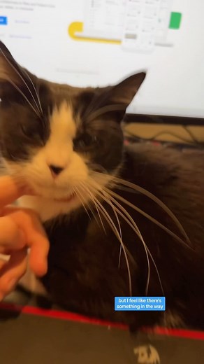 106K views · 443 reactions | Anybody else get this computer glitch? My keyboard seems to be having a cat issue. | Ryan Kelly Comedy | Facebook