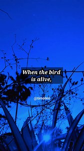 1.9M views · 29K reactions | Never devalue or hurt anyone in life... #quotes #quoteoftheday #quotesdaily #quotesaboutlife #thatslife #lifequotes #reels2024 | Timoteo Cubilla | Facebook