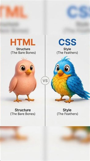 🦜 HTML vs CSS Explained in Seconds! 🤯 | Web Development Basics #shorts #memes #codingmeme