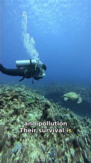 Explore Vibrant Coral Colors: The Secret to Marine Survival