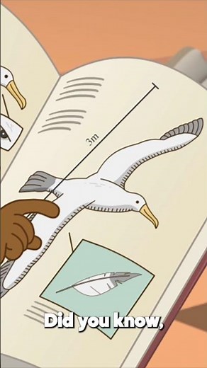 Fun Albatross Facts for Kids 𓅮 Super Sema - Cartoons for Kids #shorts