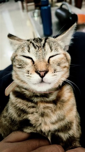 Coco😼 on Instagram: "Look how grown up I am😼. (She'll always be my lil girl