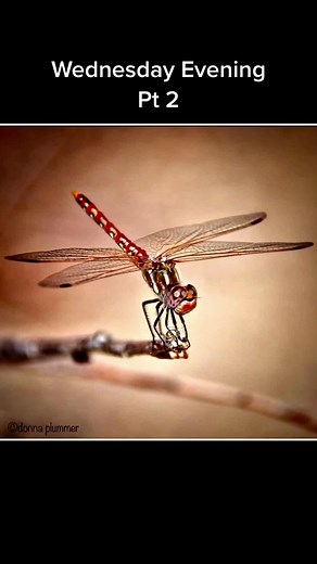 StephenMonroe1369 (@stephenmonroe1369)’s videos with When the Levee Breaks (Remaster) - Led Zeppelin