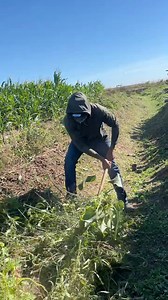 Trabajando duro 👍 | Nando flow