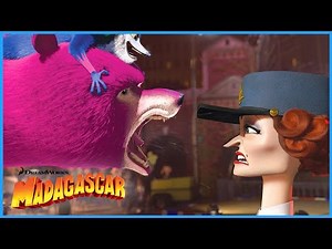 The Final Circus Performance!! 🎭🦁⭐️ | Madagascar 3: Europes Most Wanted | DreamWorks Madagascar