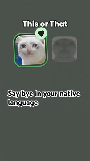 #cat#tutorial