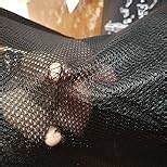 Guyuyii Airsoft Target - Portable Airsoft Targets with Catcher to Collect The BB - Foldable for Indoor and Outdoor Shooting Practice, Backyard Training - Compatible with Pellet Guns and BB Guns