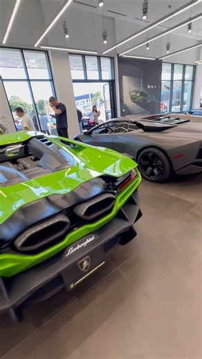Epic Lamborghini Showroom! All V12 Supercars Revuelto Murcielago Reventon Countach #cars #sportscar
