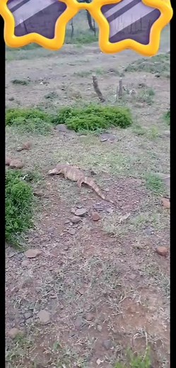 Sesimyise enkosinike thina umnikaz wamanz��... Ecabanga ukuth ngeke simubone ukuth uyshintshile�wazenza lento� | Sindisan Dladla