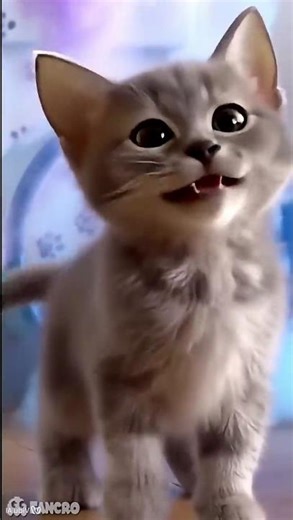 Rap MICHIFLOO Animación